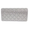 YT Женский вечерний клатч Silver AG13-242