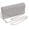 YT Женский вечерний клатч Silver AG13-242