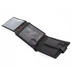 YK Мужское портмоне Catiroya L506-209