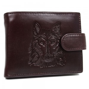 YL Мужское портмоне Catiroya L541-207